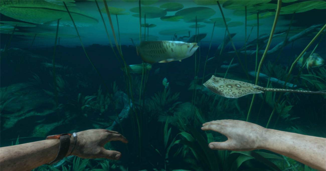 《绿色地狱》v2.9.0中文版-趣奇资源网-第5张图片 《绿色地狱》v2.9.0中文版-趣奇资源网-第5张图片