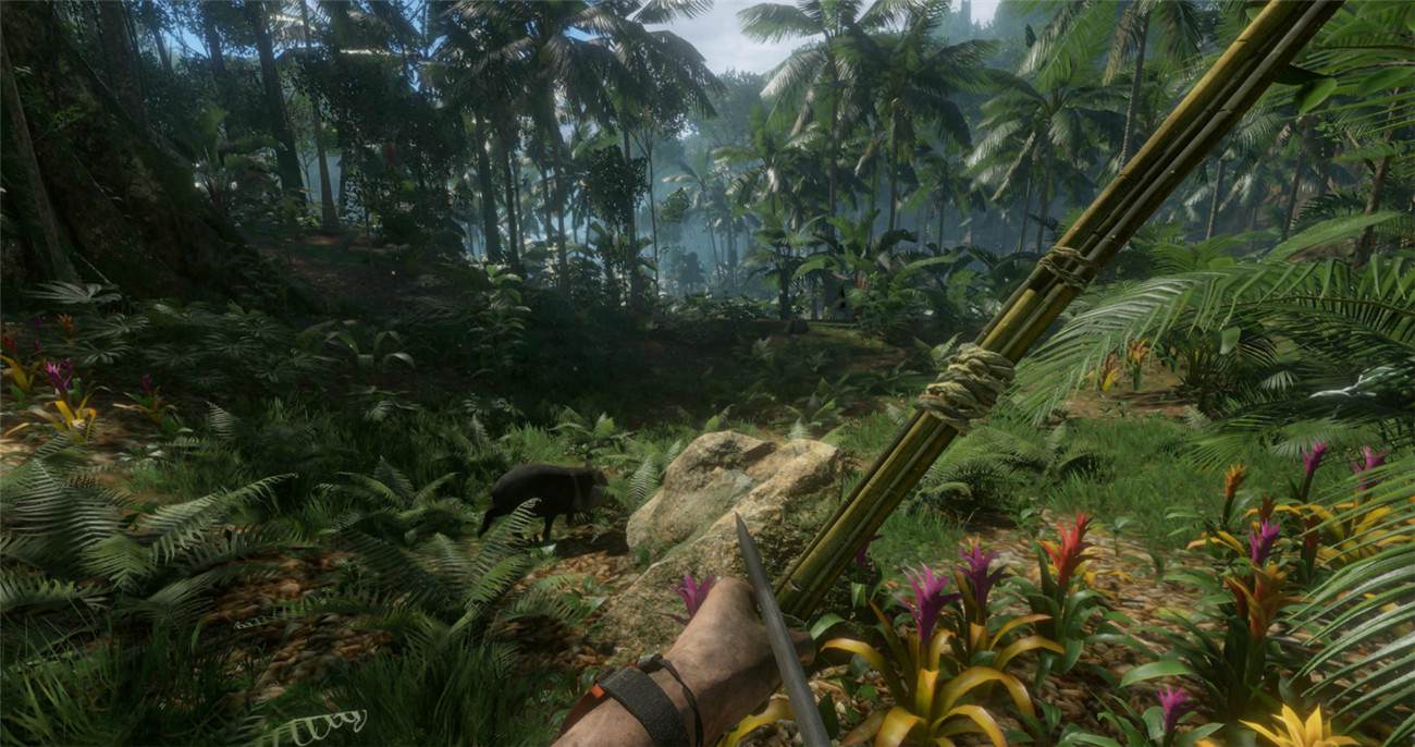 《绿色地狱》v2.9.0中文版-趣奇资源网-第7张图片 《绿色地狱》v2.9.0中文版-趣奇资源网-第7张图片