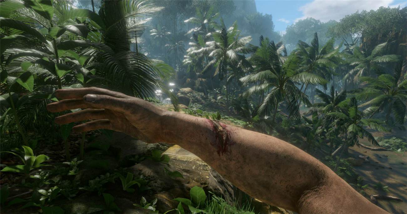 《绿色地狱》v2.9.0中文版-趣奇资源网-第9张图片 《绿色地狱》v2.9.0中文版-趣奇资源网-第9张图片